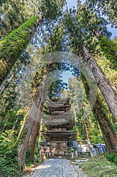 Five Story Pagoda äº”é‡å¡” and Sugi trees at Mount Haguro ç¾½é»’å±±, One of the three sacred mountains Dewa Sanzan å‡ºç¾½ä¸‰å±±.